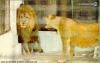 Fun_Pic_ 1051 
